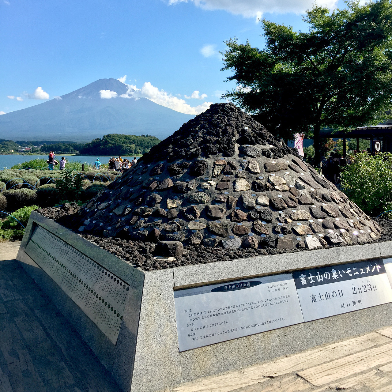 Oishi Park - The Best View Of Mt.Fuji At Kawaguchiko, Natural Living ...