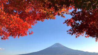 Thumbnail of post image 164